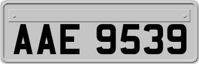 AAE9539