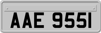 AAE9551