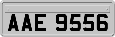 AAE9556