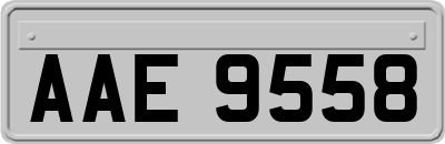 AAE9558