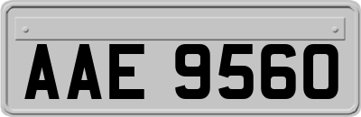 AAE9560