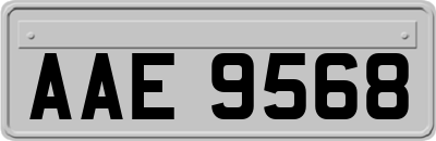 AAE9568