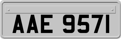 AAE9571