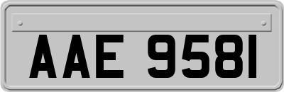 AAE9581