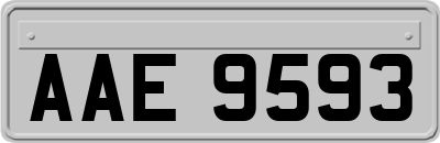 AAE9593