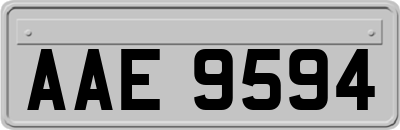 AAE9594