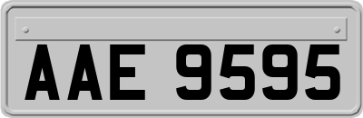 AAE9595