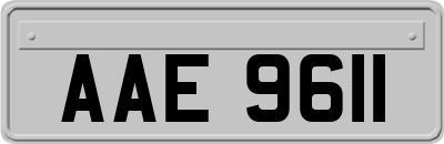 AAE9611