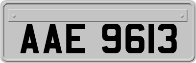 AAE9613