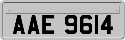 AAE9614