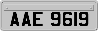 AAE9619