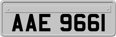 AAE9661