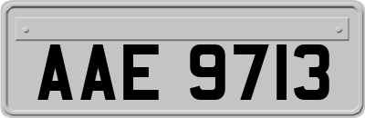 AAE9713