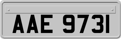 AAE9731