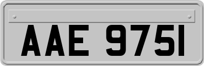 AAE9751