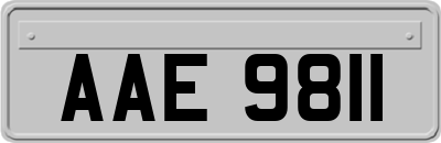 AAE9811