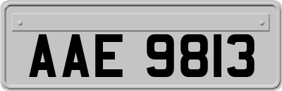 AAE9813