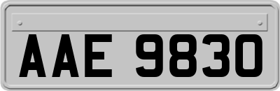 AAE9830