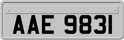 AAE9831