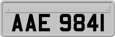 AAE9841