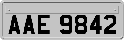 AAE9842