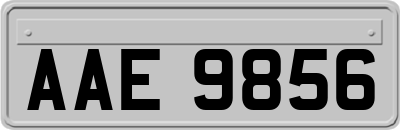 AAE9856