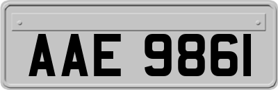 AAE9861