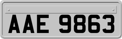 AAE9863