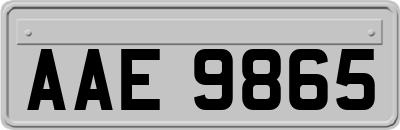 AAE9865