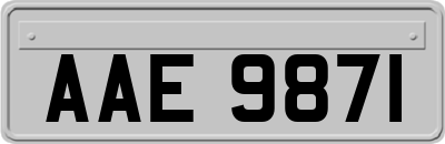 AAE9871