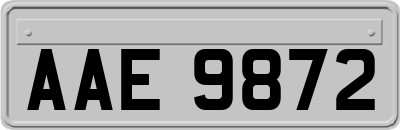 AAE9872