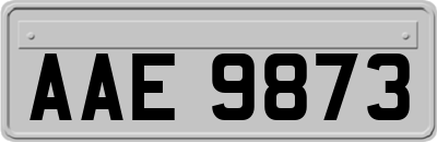 AAE9873