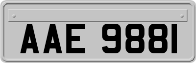 AAE9881