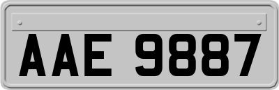 AAE9887