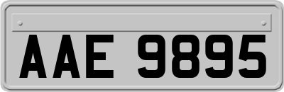 AAE9895