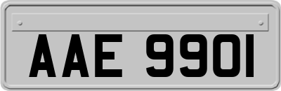 AAE9901