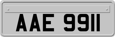 AAE9911