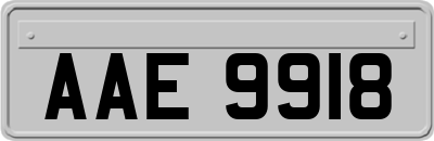 AAE9918