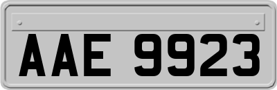 AAE9923