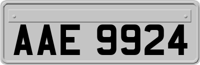 AAE9924