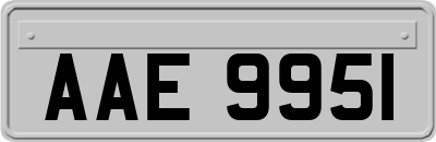 AAE9951