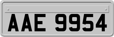 AAE9954