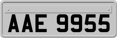 AAE9955