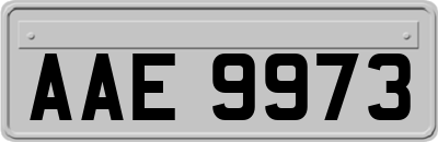 AAE9973