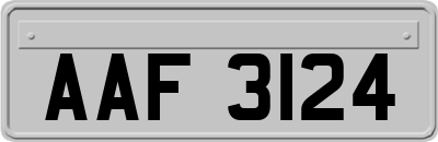 AAF3124