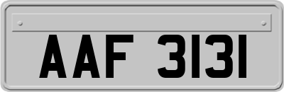 AAF3131