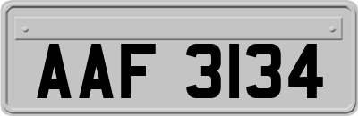 AAF3134