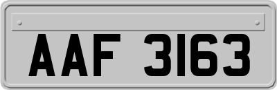 AAF3163