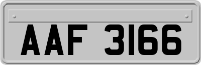 AAF3166