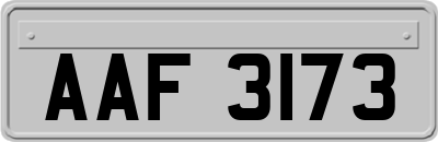 AAF3173